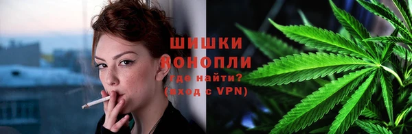 прущие грибы Медвежьегорск