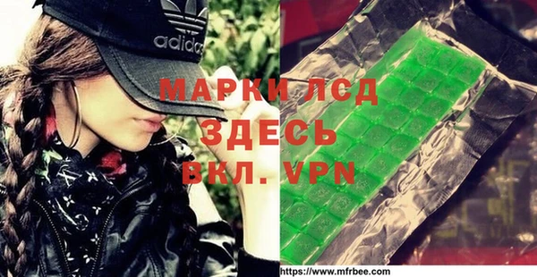 прущие грибы Медвежьегорск