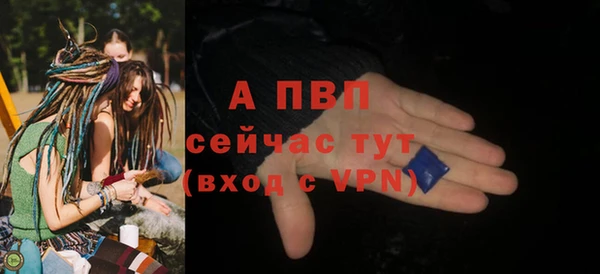прущие грибы Медвежьегорск