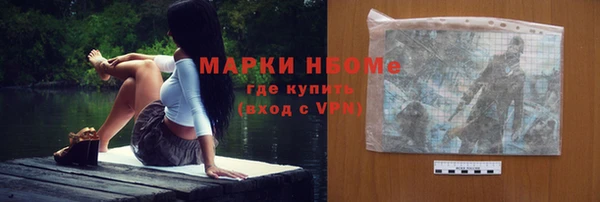 прущие грибы Медвежьегорск