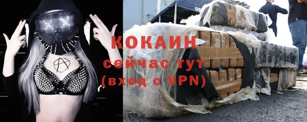 прущие грибы Медвежьегорск