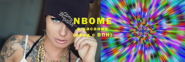 прущие грибы Медвежьегорск