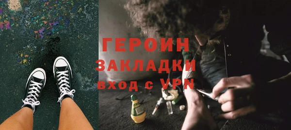 прущие грибы Медвежьегорск
