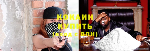 прущие грибы Медвежьегорск